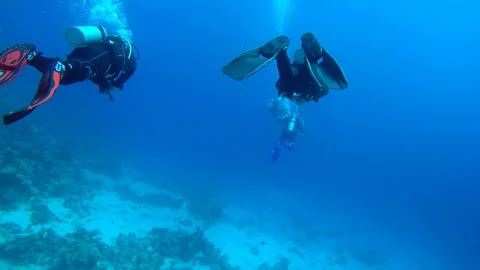 Egypt Dahab diving in the red sea 스톡 동영상 100300087