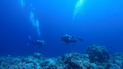 Egypt Dahab diving in the red sea Vidéo 100327229
