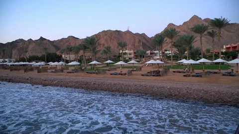 Egypt Dahab palm trees and sea. Vidéo 100454435