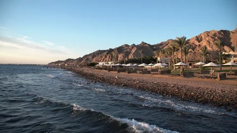 Egypt Dahab palm trees and sea. Stock Footage 100455352