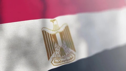 Egypt flag animated 스톡 동영상 80597645