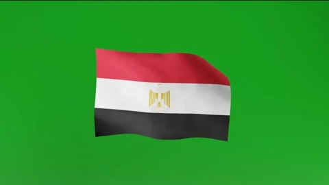 Egypt Flag Animation Stock Footage 161787313