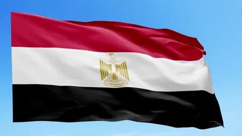 Egypt Flag Animation – Seamless Loop (4K UHD) Stock Footage 317761361