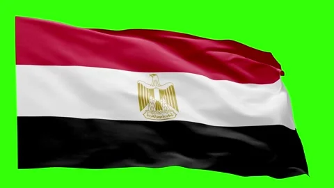 Egypt Flag Animation – Seamless Loop (4K UHD) Stock Footage 317761362