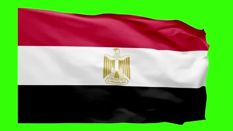 Egypt Flag Animation – Seamless Loop (4K UHD) Stock Footage 317761367