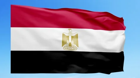Egypt Flag Animation – Seamless Loop (4K UHD) Stock Footage 317761372