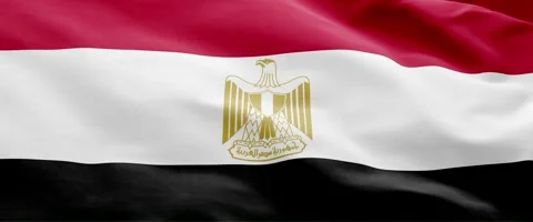Egypt Flag Animation – Seamless Loop (4K UHD) Stock Footage 317761375