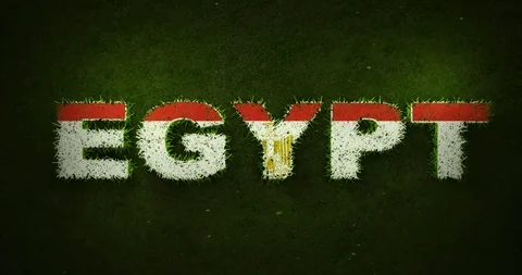 Egypt Flag is Appearing Over Growing Grasses Stock Footage 101744974
