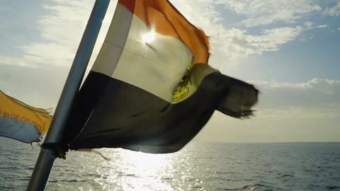 Egypt Flag Blowing in the Wind During Sunset Stock Footage 195356415