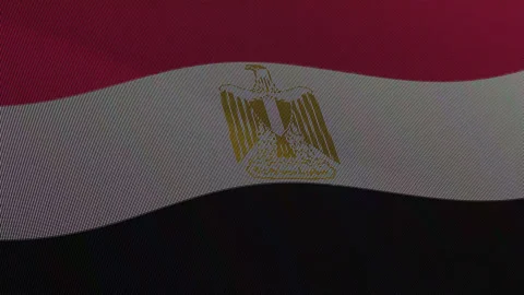 Egypt Flag Digital Particle Waving Seamless Loop Animation on Black Backgroun Stock Footage 339302459
