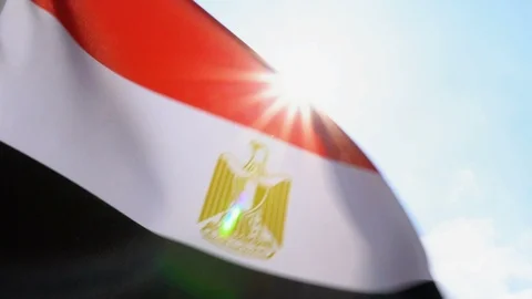 Egypt Flag Flapping Stock Footage 118963920