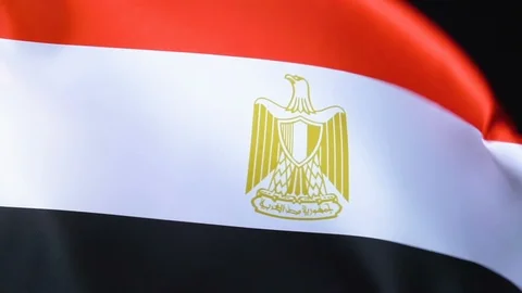 Egypt Flag Flapping Video stock 118972561