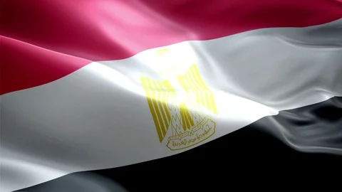 Egypt Flag Stock Footage 116377805