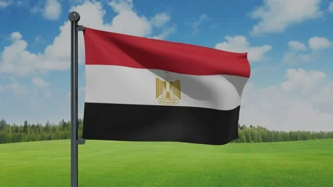 Egypt Flag Stock Footage 151862334