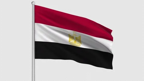 Egypt Flag Video stock 208866800