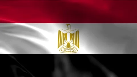 Egypt Flag Stock Footage 262499825