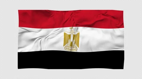 Egypt flag 스톡 동영상 321600783
