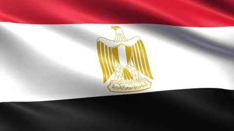 Egypt Flag Stockillustratie
