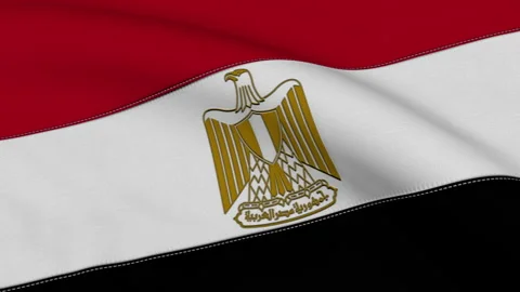 Egypt Flag Loop Stock-Footage 241179264