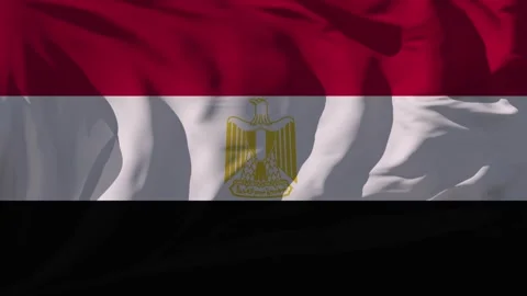 Egypt Flag Loop Stock Footage 295747656