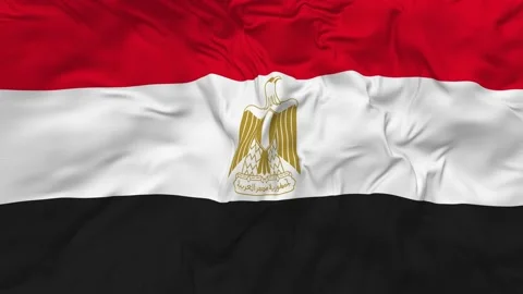 Egypt Flag Seamless Looping Background Waving Slow Motion Stock Footage 234114979