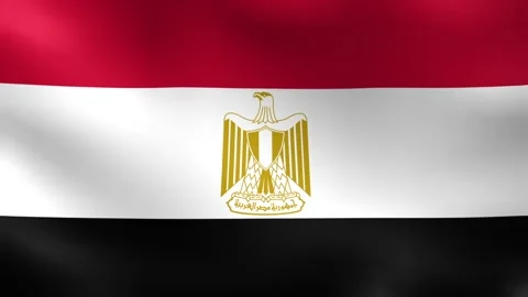 Egypt Flag Seamless Looping Background Stock Footage 339288101