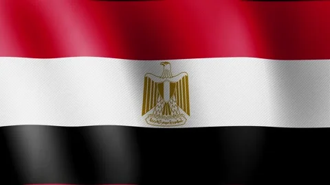 Egypt flag waving, close-up of Egypt national flag Stock Footage 340501639