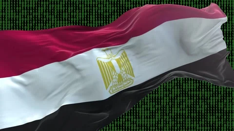 Egypt flag - Waving flag on matrix binary code background Stock Footage 321421108