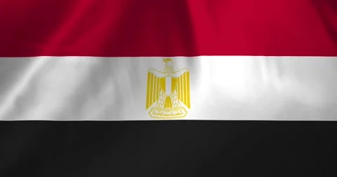 Egypt flag waving with the wind background loop video animation Vídeos de archivo 327171887