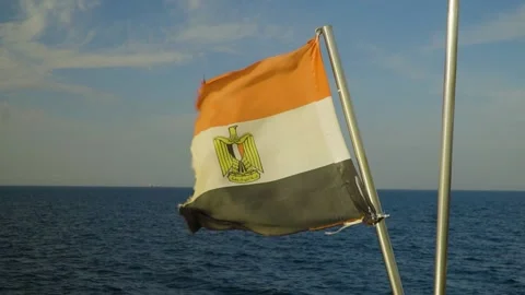 Egypt Flag Waving in the Wind During Sunset Stock Footage 195356523