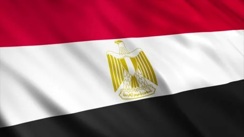 Egypt Flag waving in the wind Stock Footage 236432355