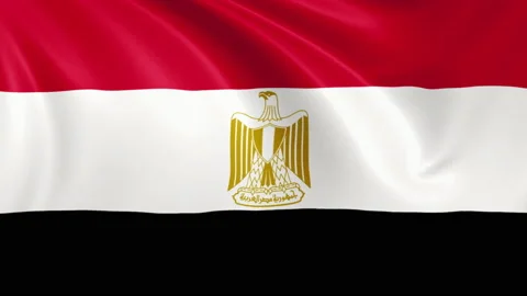 Egypt flag waving in the wind with high quality texture in 4K Vídeo Stock 130455133
