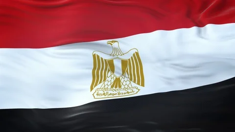 Egypt flag waving in the wind with highly detailed fabric texture 動画素材 120655556