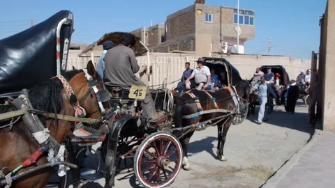 Egypt Stock Footage 106637173