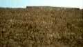 Egypt Great Pyramid of Giza Pan Up - Vintage Super 8mm Film HD Footage