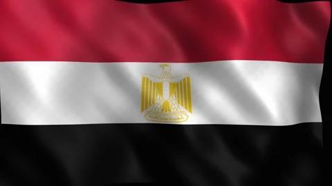 Egypt national flag waving in the wind seamless loop. 4K Video stock 344046953