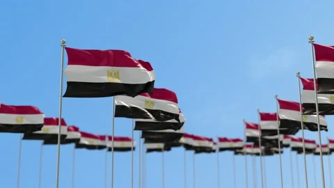 Egypt Row Of Flags 3D Animation Видео 148660855