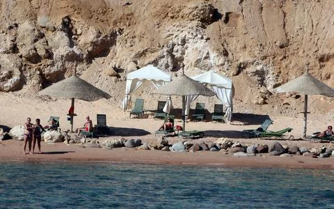 Egypt Shark Attack - Dec 2010 Stock Photos