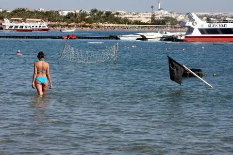 Egypt Shark Attack - Dec 2010 Stock Photos