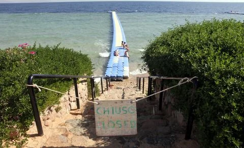 Egypt Shark Attack - Dec 2010 Stock Photos