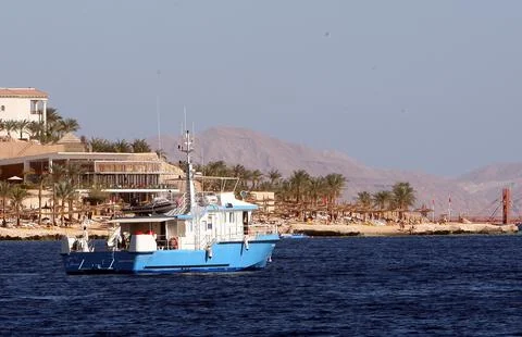 Egypt Shark Attack - Dec 2010 Stock Photos
