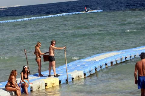 Egypt Shark Attack - Dec 2010 Stock Photos