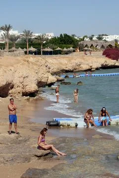 Egypt Shark Attack - Dec 2010 Stock Photos