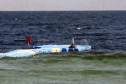 Egypt Shark Attack - Dec 2010 Stock Photos