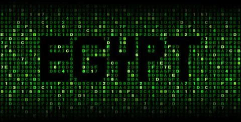 Egypt text on hex code illustration Stock Illustration