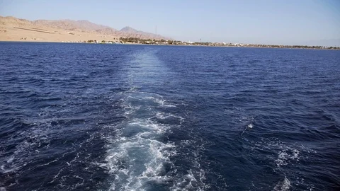 Egypt a view from the ship Stock Footage 100458408
