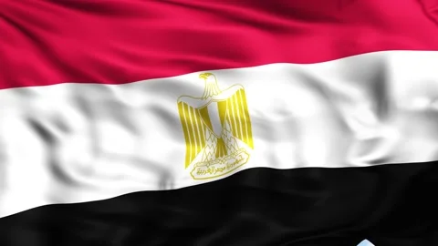Egypt Waving Flag Background Stock Footage 204133130