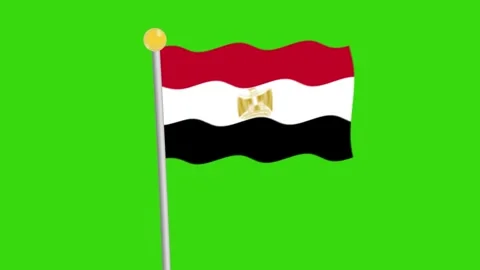 Egypt waving flag	 Video stock 259415225