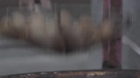 Egyptian Desserts Stock Footage 247019456