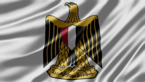 Egyptian eagle emblem fluttering in smooth motion within high quality Stock Footage 343833230